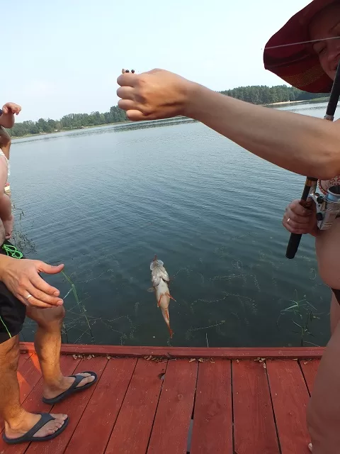 Žvejyba saloje