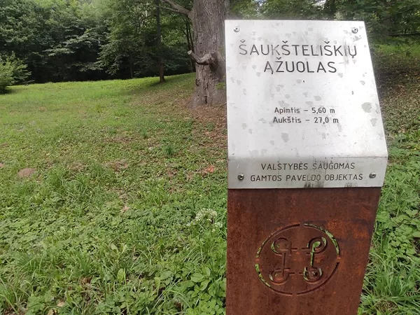 Valstybės saugomas objektas