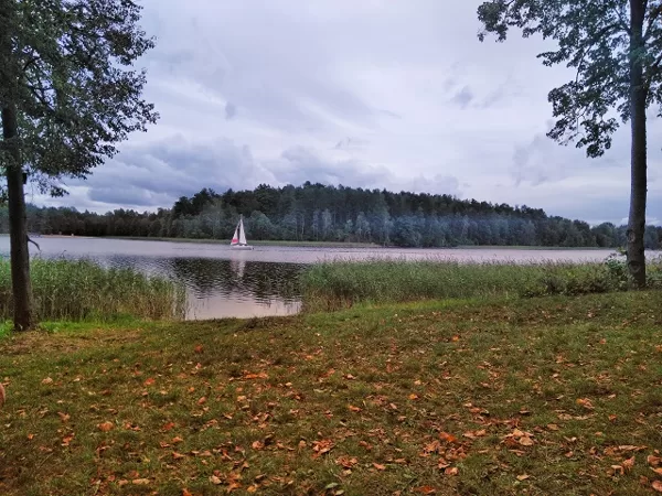 Vaiždas pro langą