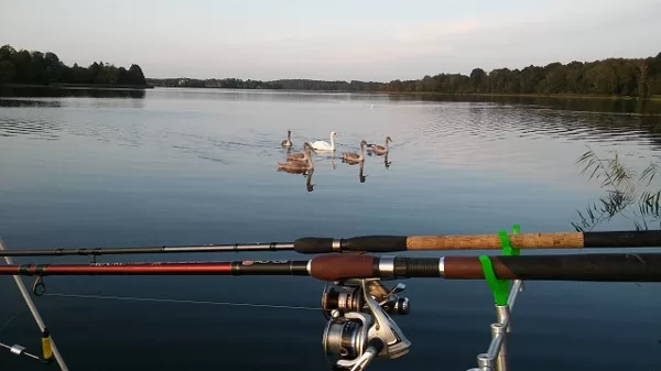 Žvejyba saloje