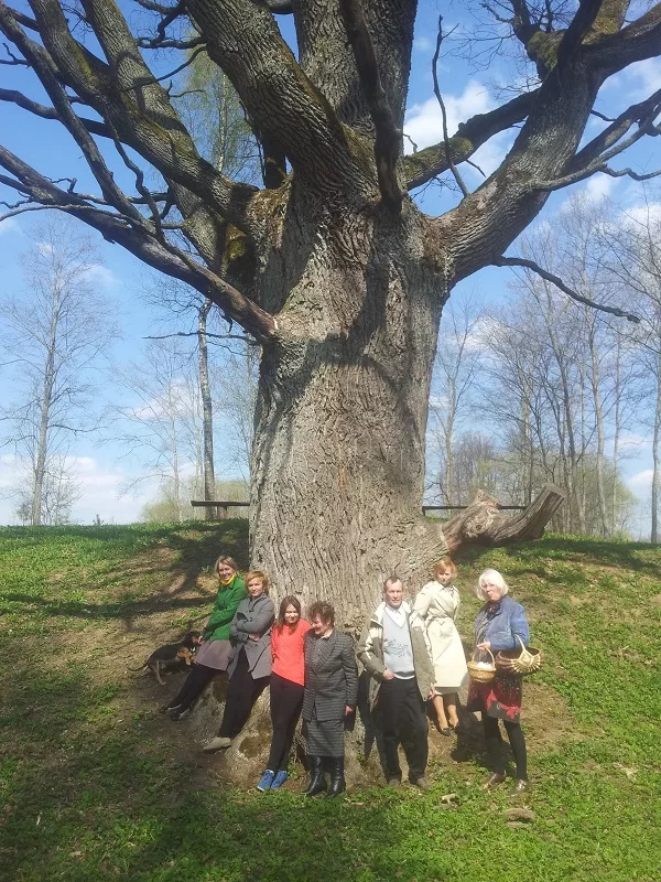 Oak I